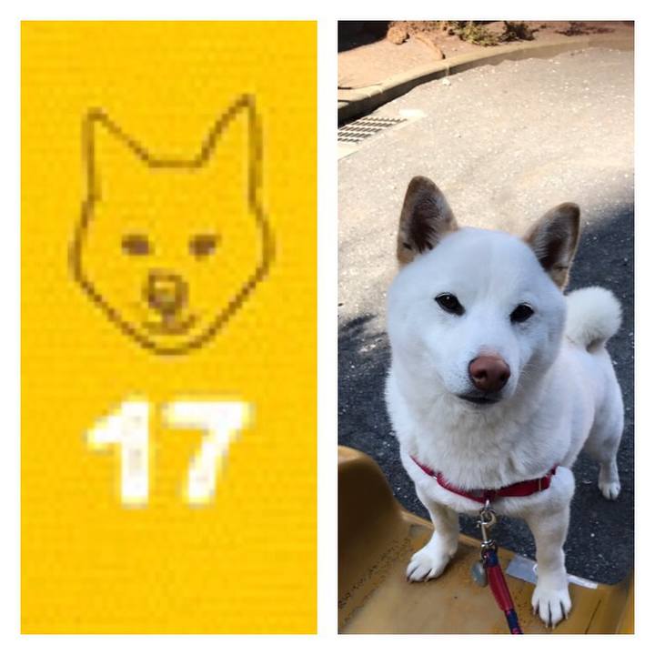 F84577c9 f91f 4e41 ac0d dbdb38e42c1c