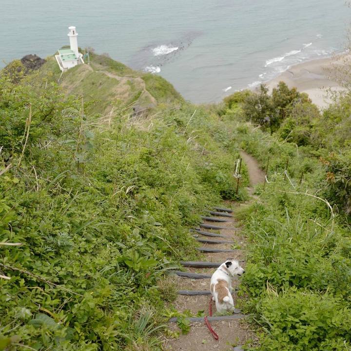 F84592be 40c2 4f93 9959 f4c225d8a34f