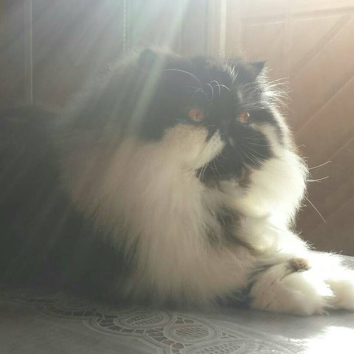 F8460f5e 5528 4df5 b18f 5a6988097044