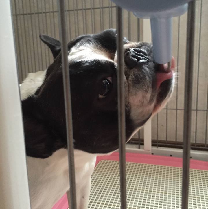 F8462f34 44d3 446b 9403 53b9b97888bc