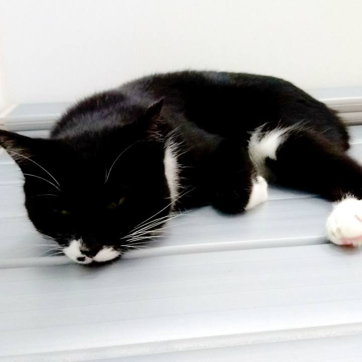 F84672f2 860c 4d76 80cc 10ccb2e7d52a