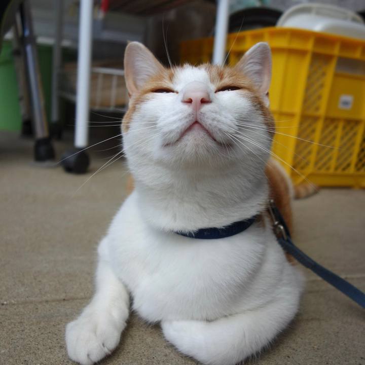 F846e5c0 fc5d 47ba 83d4 3b2ffe5d84b5