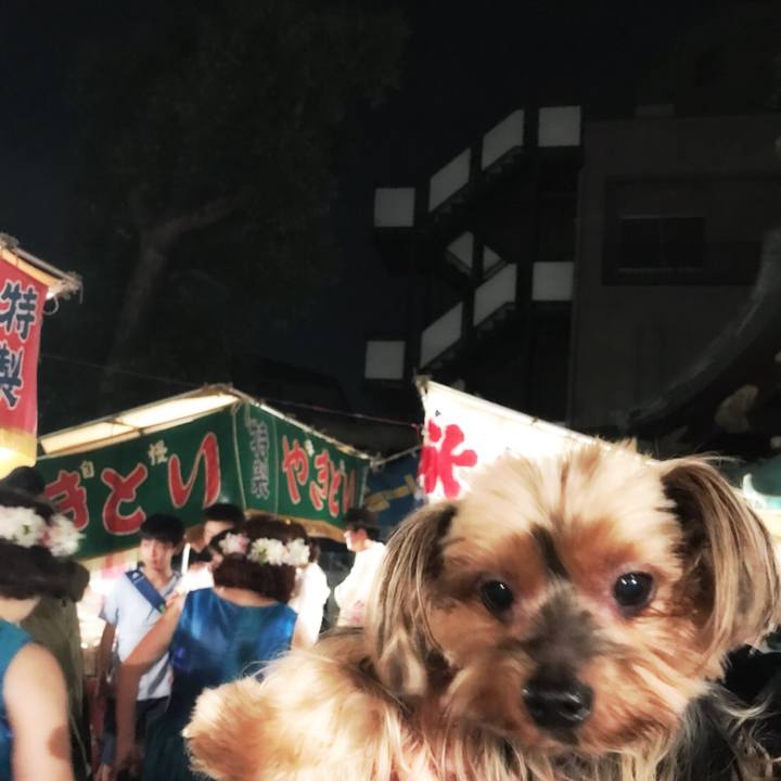 F846f8de 1d30 4b5d 8088 a6ab2df98d47