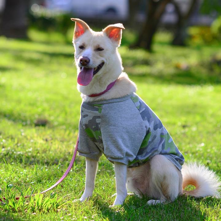 F847d535 1e0f 4d18 9fa6 319eeb99ee3d