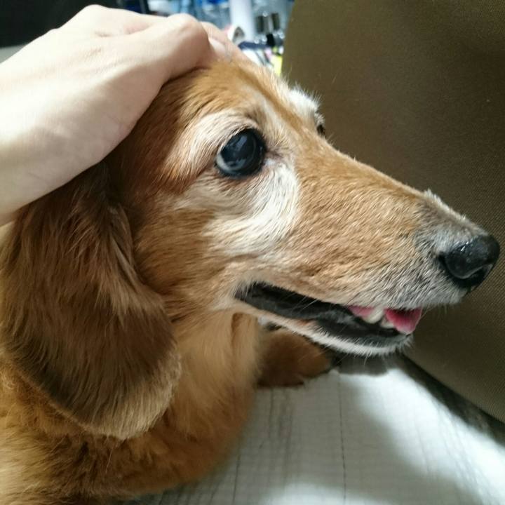 F847f547 f979 4959 9243 f8584dfaaa84