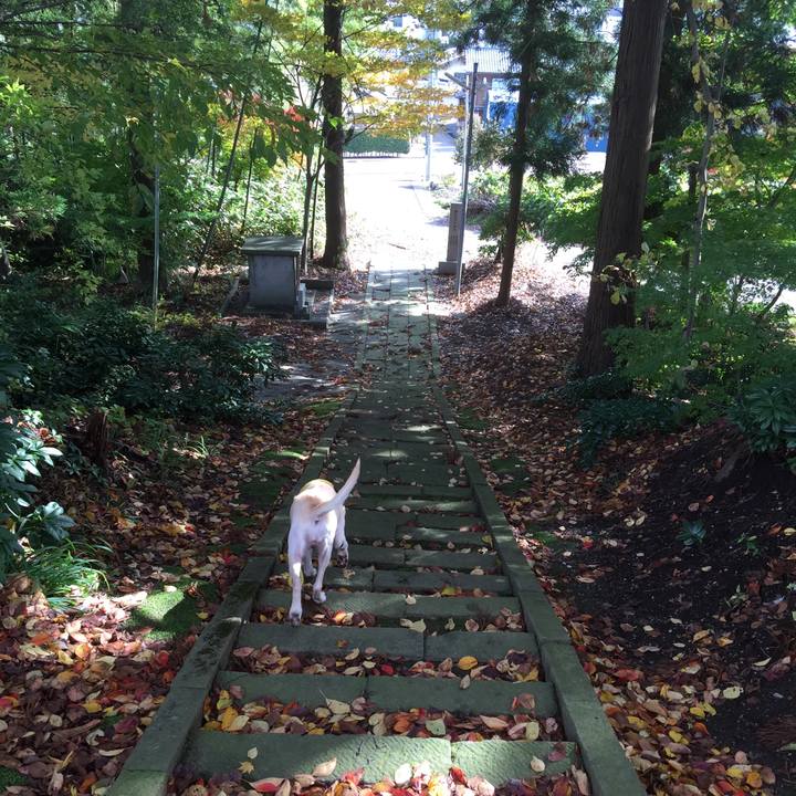 F848792a 22c1 4efd 9aa9 1ae435faa2fc