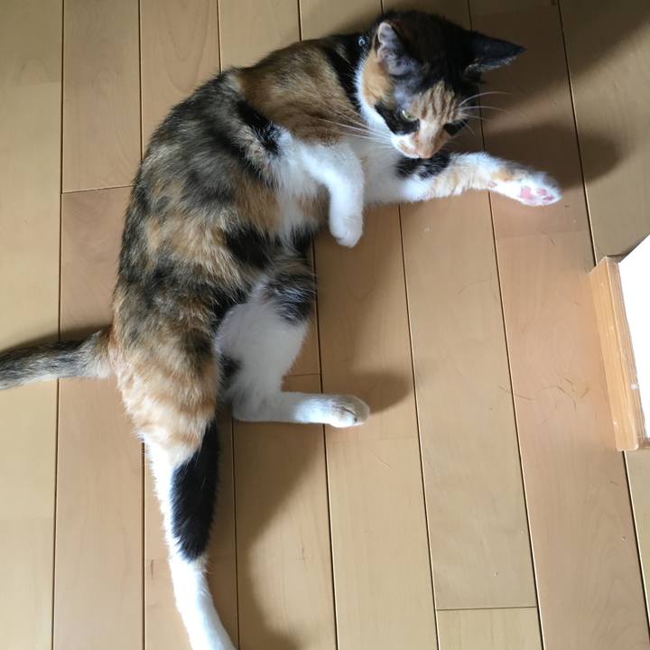 F8489992 ba8d 45ef 8601 38931c11e1d3