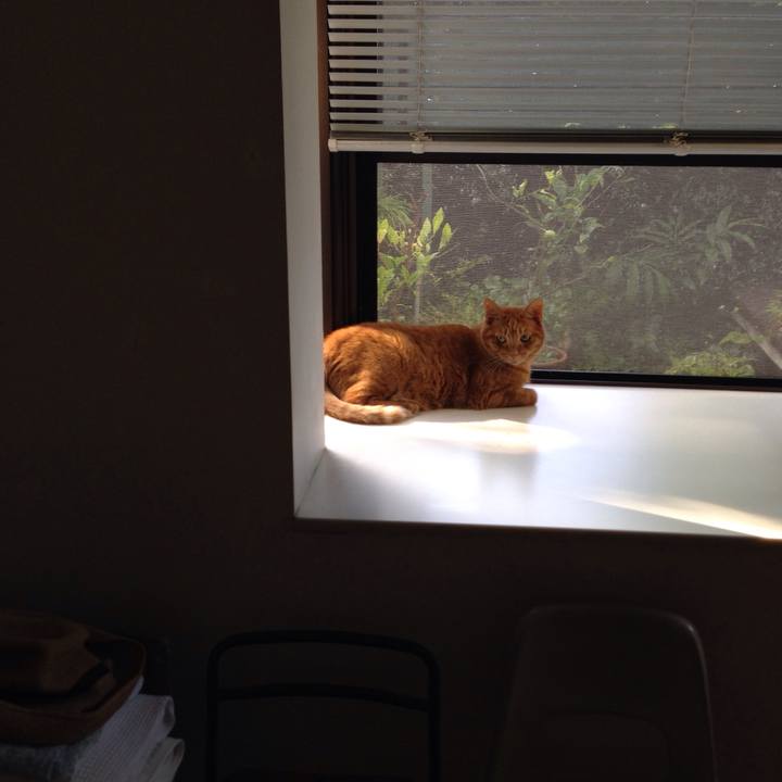 F84a73ee 45de 44d2 a67e 7d8e972a2b11