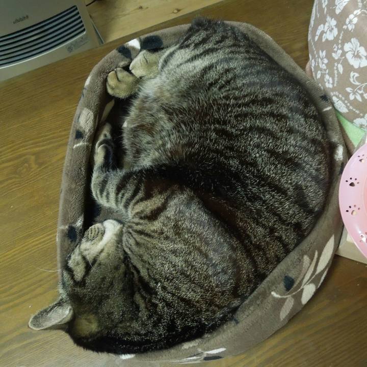 F84aae03 b49a 4b4a a65b f35649a93501