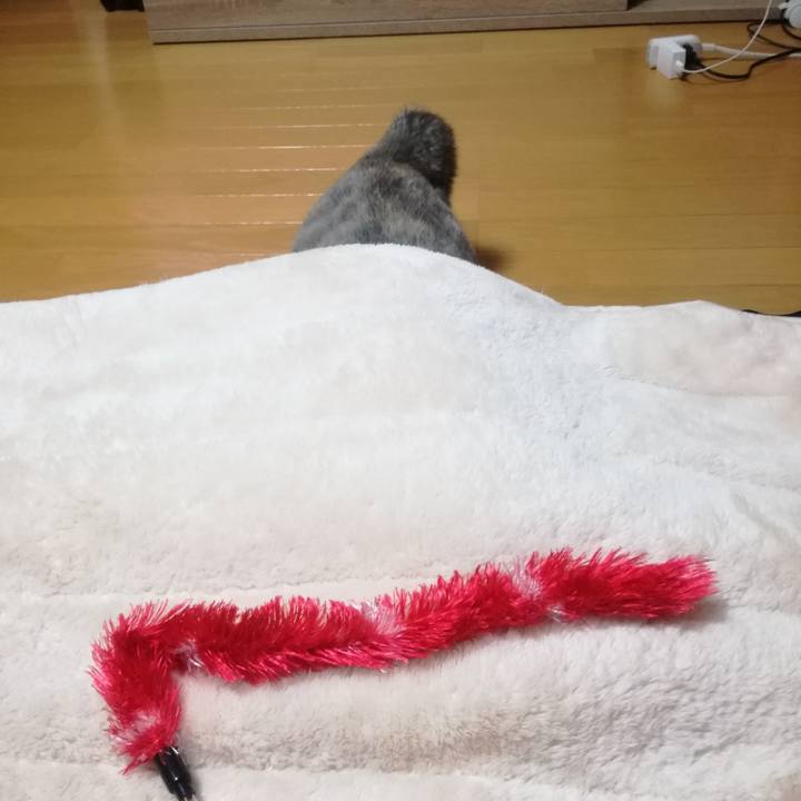 F84b094e 287b 405b 99b9 ac0baf44d934