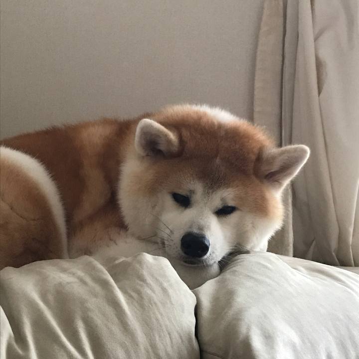 F84bf41e a339 4f08 8abb 7127fdd1a16c