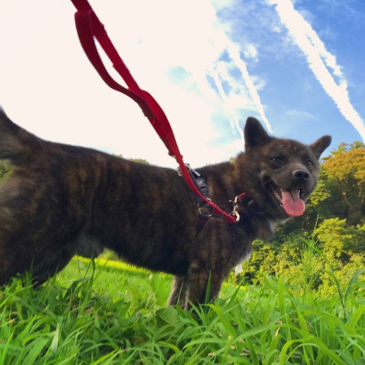 F84c2743 7a7b 4fa1 aa67 2810df5168a1