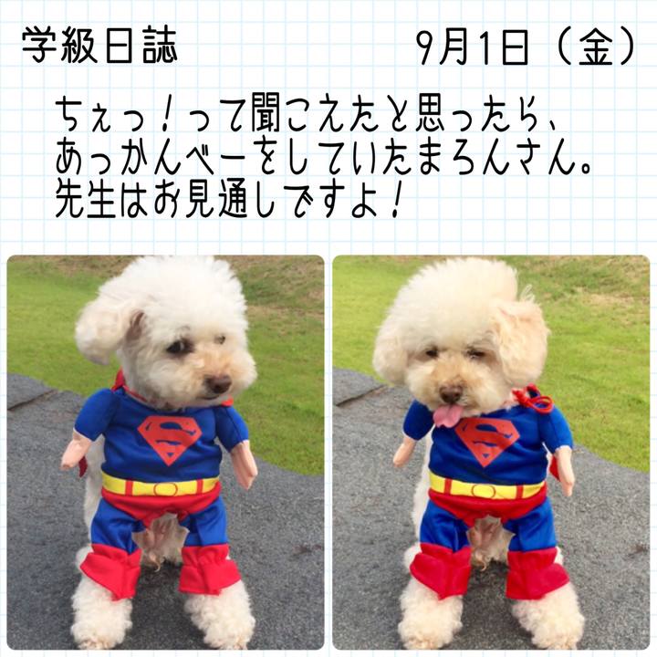 F84ceda9 3ca5 47bf 99da 6388d7619c0a