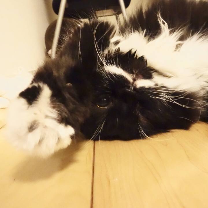 F84cf0f3 e7e8 4660 a1ba cb81da13274c