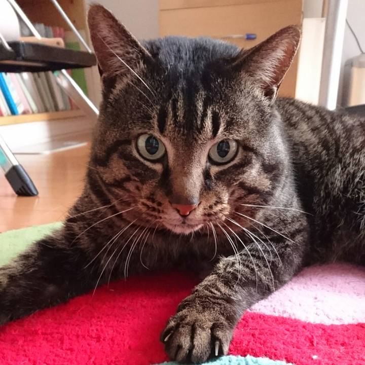 F84d00d5 fd0a 45b6 b0a9 a4cb3273a0be