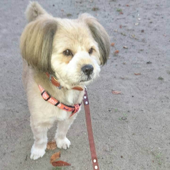 F84d03cd f382 4151 9c6e 8b0ffe16eb7c