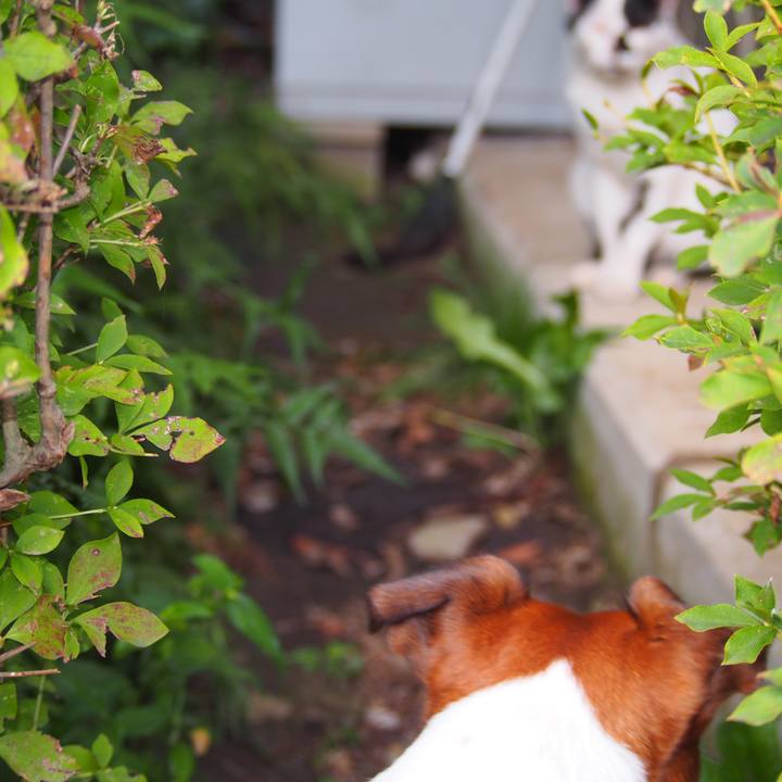 F84da1dd 7fd5 4daf 84c3 9b1619eb0ebd