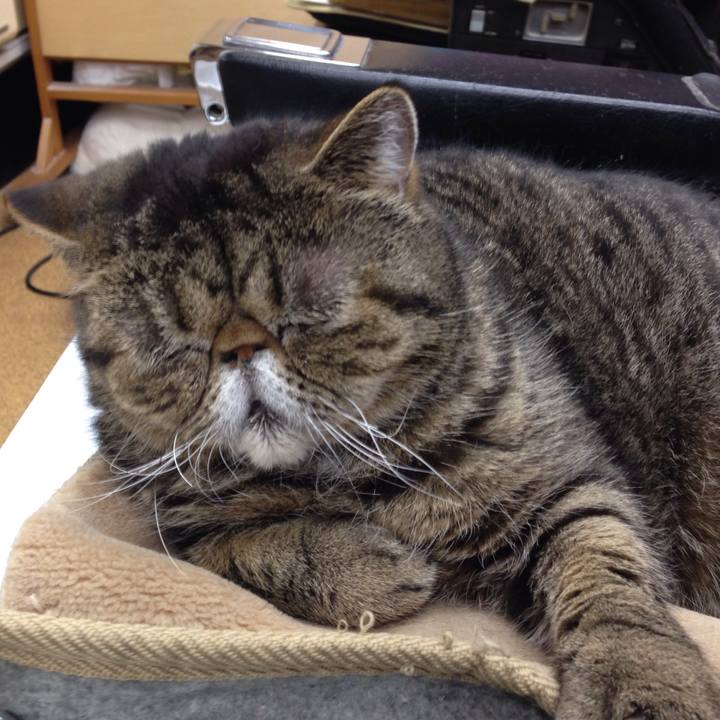 F84e2cf0 10be 44fe bfe2 42e30df8e8a0