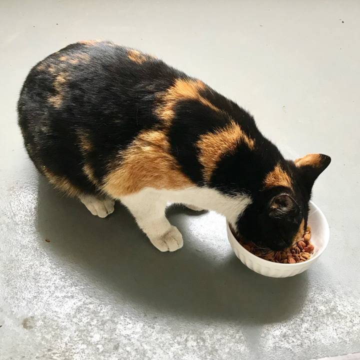 F84e369a fd0d 422f b2a3 71f534389019