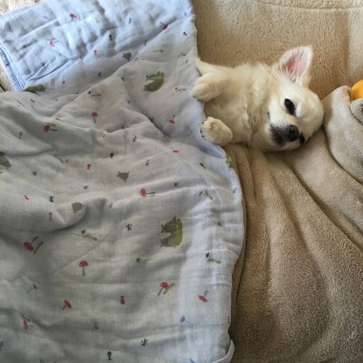 F84e4533 b339 477e 86f4 5aa4e63002a7