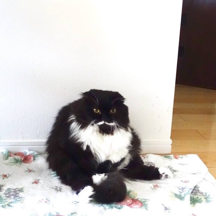 F84e4533 d4c4 4988 86c8 02ab7ff01758