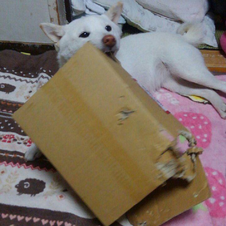 F84ea552 e08e 4dee a616 566343f16b03