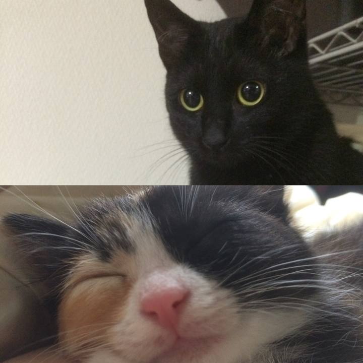 F84f486f ca78 467a b5db f545961b05a0