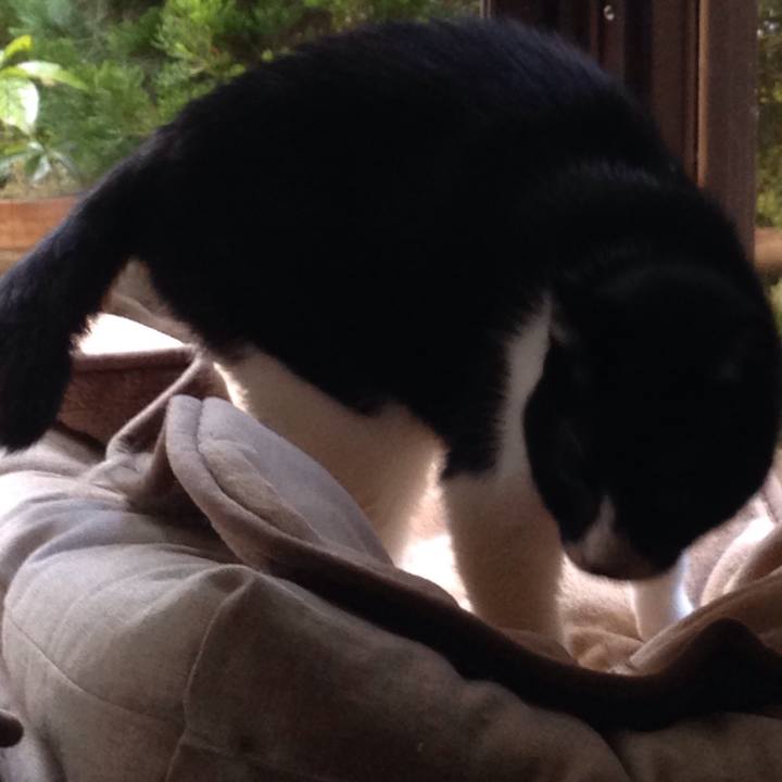 F84fb47c f17c 40d7 89be 5effaf07565c