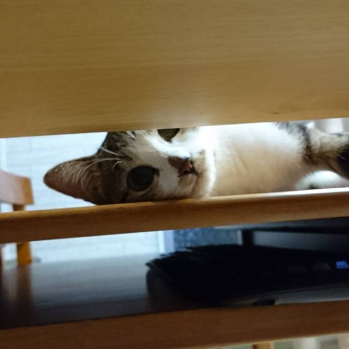 F84ff1b9 32da 477d b409 00f23b57019c