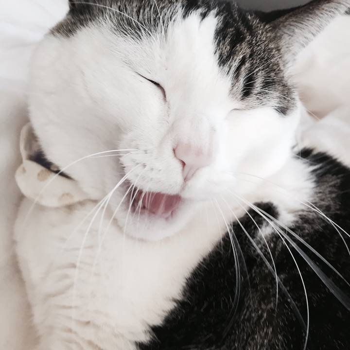 F85054e2 b4f8 473d 8f25 2233a9abd3f1