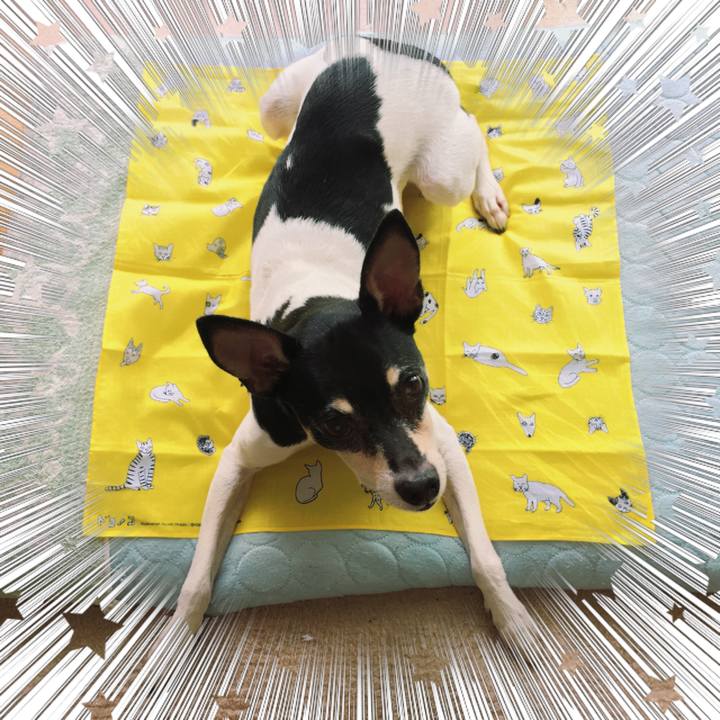 F850786c ba60 479c a6d6 a7e08149c6ab