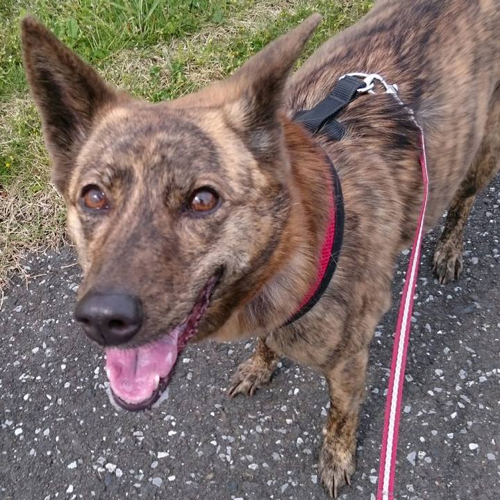 F850b1d7 709f 4f5f b6c4 e3eeb703307f