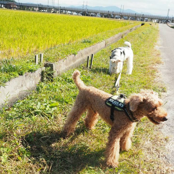 F851cd6d 9ff9 4984 af00 2457ef20d929