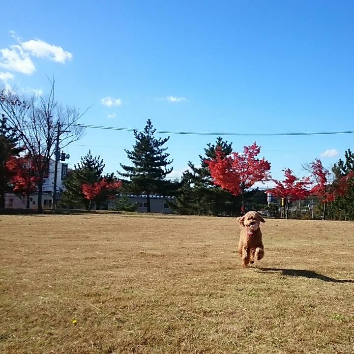 F852d57d cba4 4cbb 9795 a4ab33d6e1ca