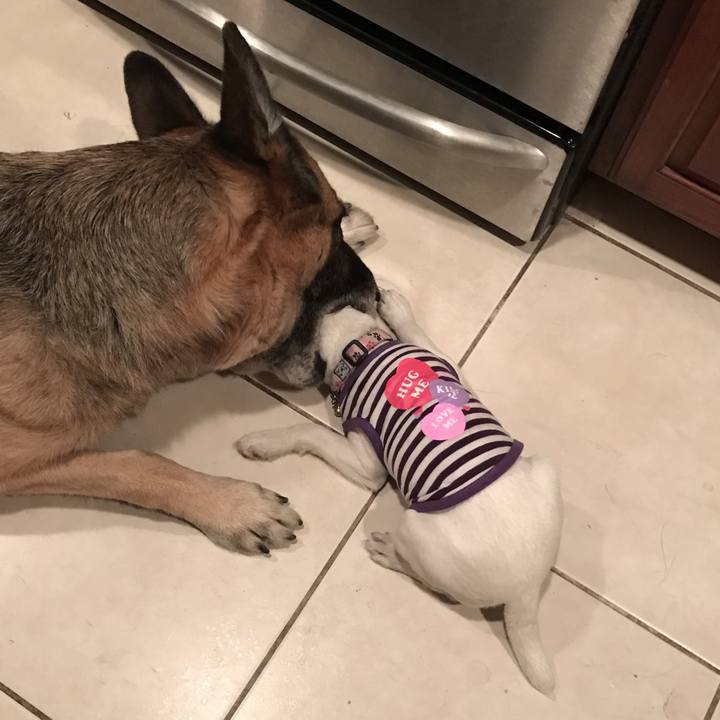 F852f7bc b19f 4320 8e52 e760ec7f4656