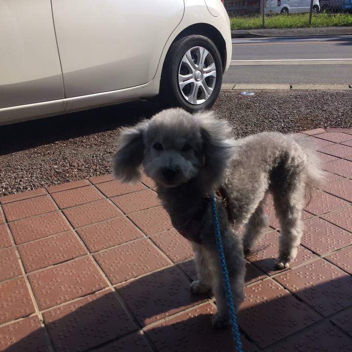 F853877d 2fc5 4a65 957d 61327ee12a90