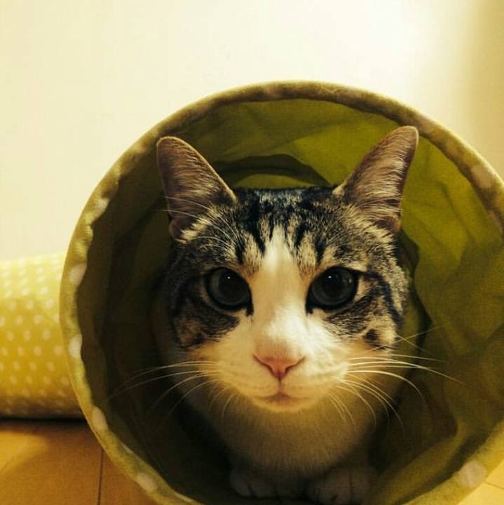 F853bbb5 26a8 4db4 b82e a9f25463d06f