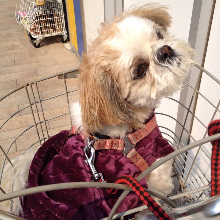 F853d02b c0d3 4f81 80a5 599d484f737b