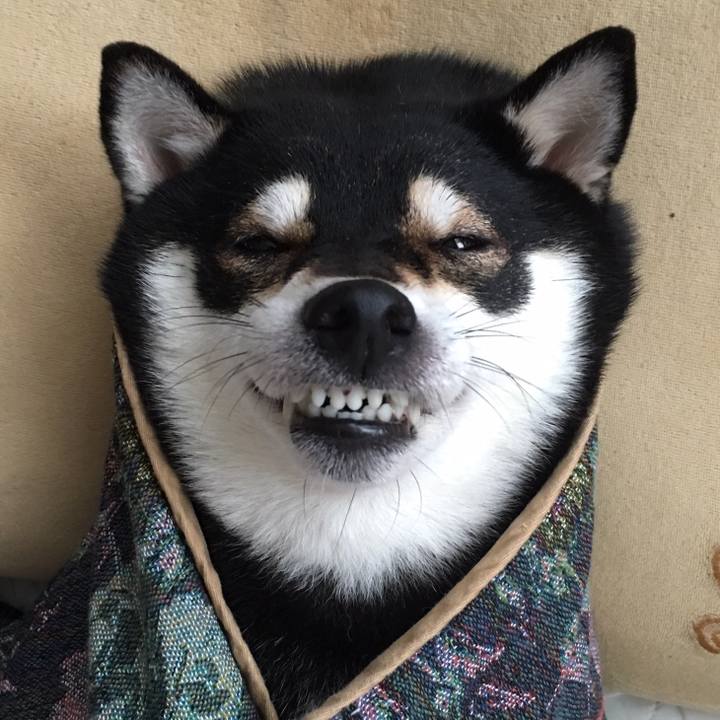 F853d1b5 d133 4472 ae0d ac454accb9a5