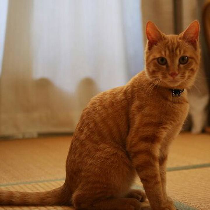 F854b03e 238e 40c8 afc0 1cc1b26b731f