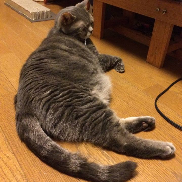 F8552899 3a90 41a7 9638 fc757c293fe5