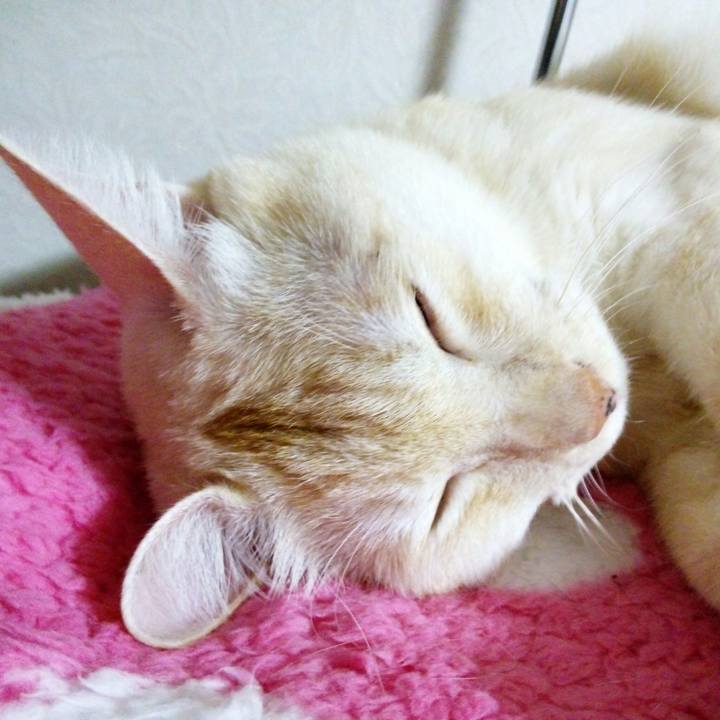 F8556113 38f3 4440 a0de 45f824f7dfc0