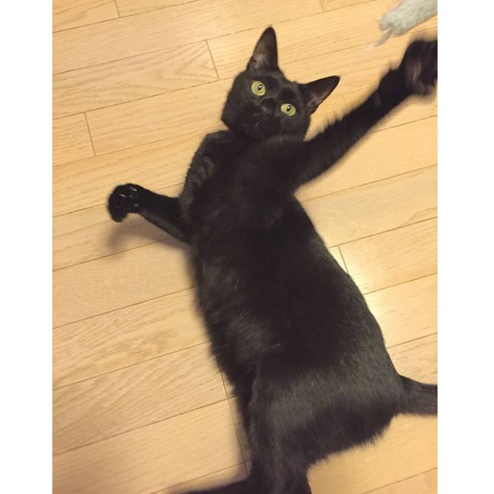 F855b451 8952 489d 997b 3320e7e807fe