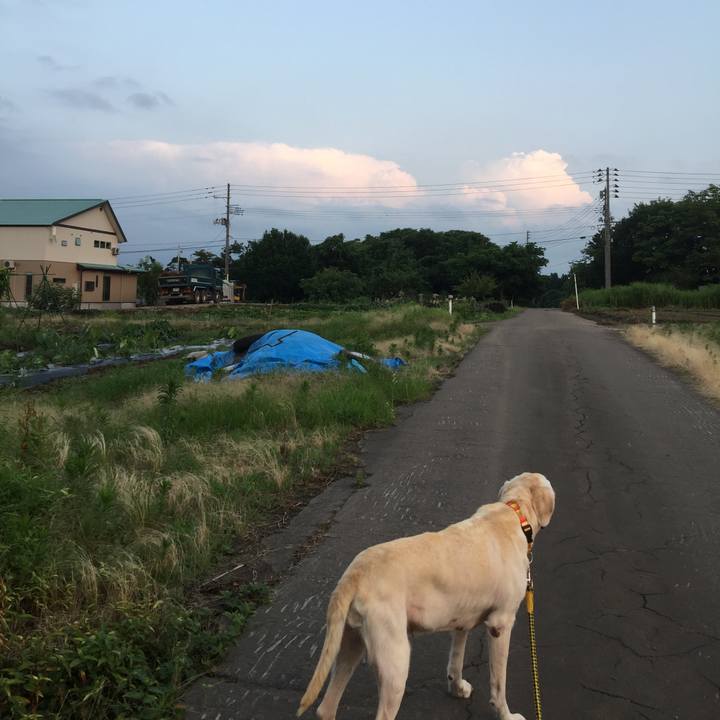 F855f9d5 0eb5 48c0 9a44 58f46c8a1d4e