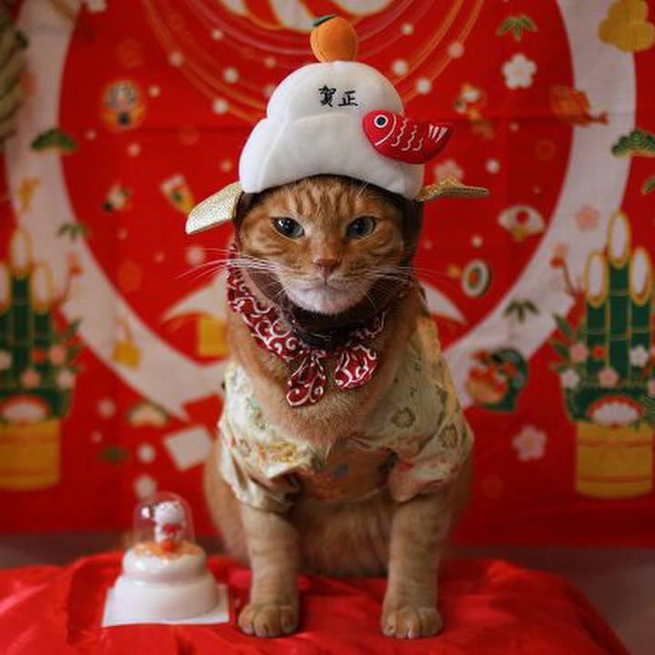 F8564c30 3556 49cb ba32 adf8f2f637e1