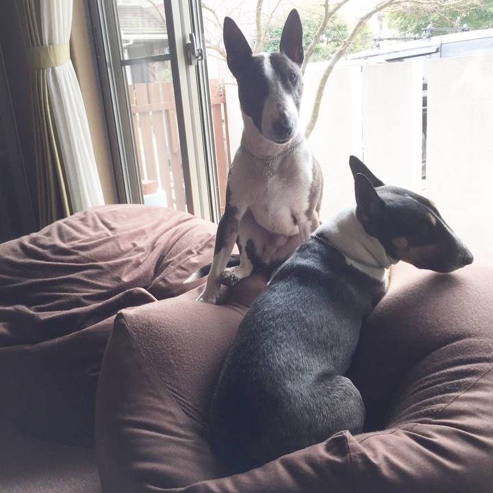 F8565b50 c5d5 447e a79b 5dccd171bd77