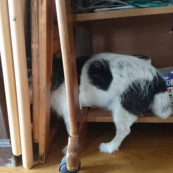 F857177e 09fd 4573 accf 04672456023d