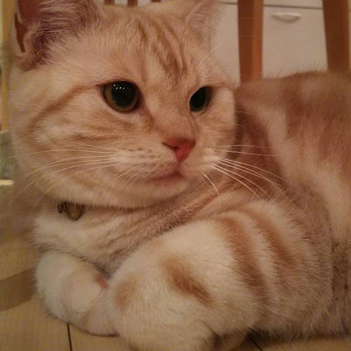 F8575acd 07da 4d5d bf1d 951ad2730f1b