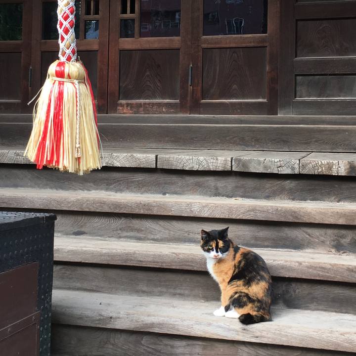 F8578136 b77c 427b b3e8 e7d3a494bac6