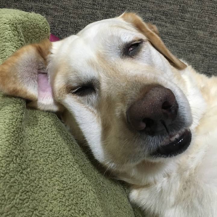 F8578774 b3dc 4796 8d13 ee9fe292adbc